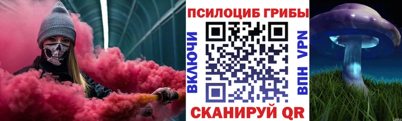 Купить  Дмитровск  Галлюциногенные грибы мицелий 